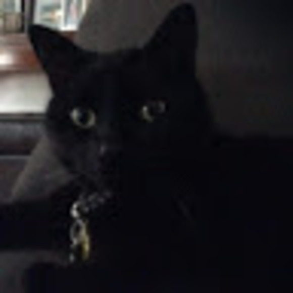 Meet your Posher, Michael - Picture 1 of 1